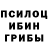 Псилоцибиновые грибы GOLDEN TEACHER Olga Tlustovskaya
