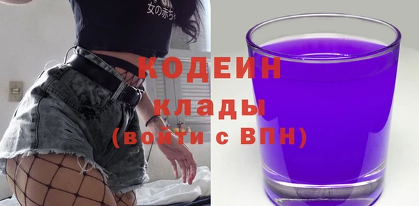 спиды Богородицк