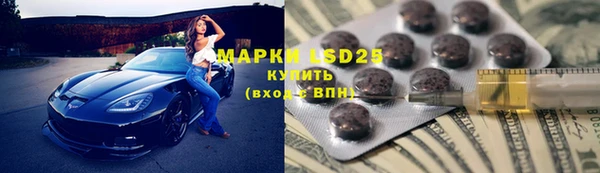 спиды Богородицк