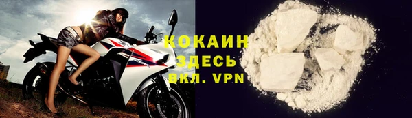спиды Богородицк