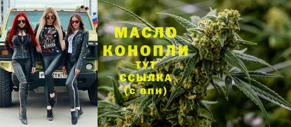 спиды Богородицк