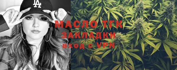 спиды Богородицк