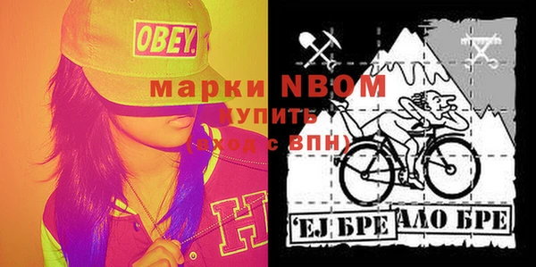 молекула духа Богородск