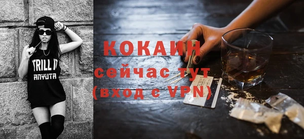 спиды Богородицк