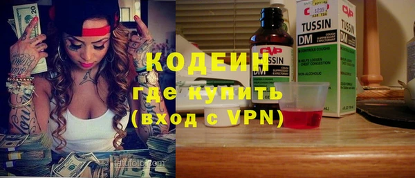 спиды Богородицк