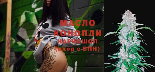 молекула духа Богородск