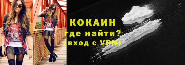 спиды Богородицк